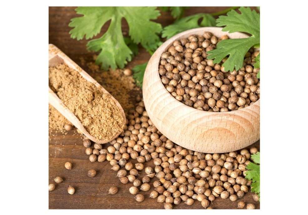 
Everwilde Farms - 1 Oz Leisure Coriander Herb Seeds - Gold Vault