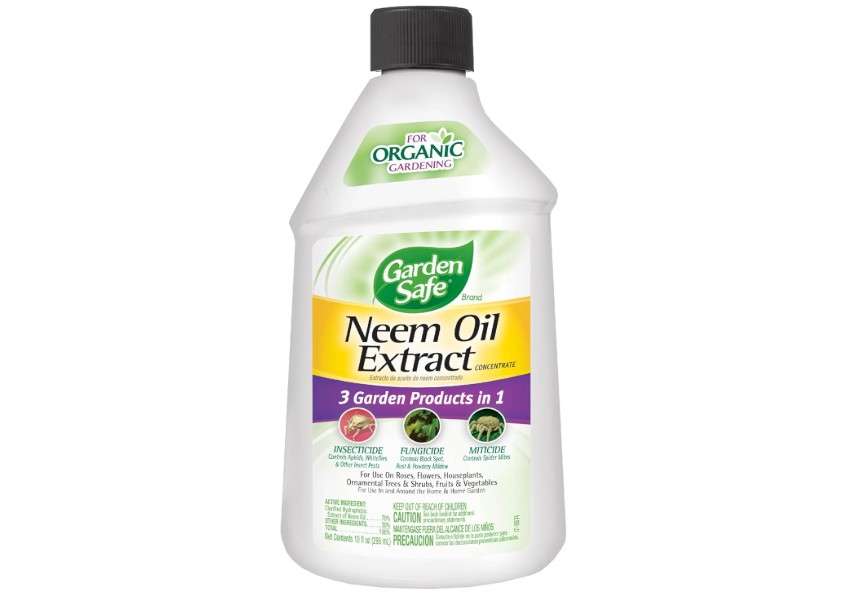 
Garden Safe Neem Oil Extract Concentrate, For Organic Gardening, Fungicide, Insecticide, Miticide, Neem Oil For Plants, 10 fl Ounce