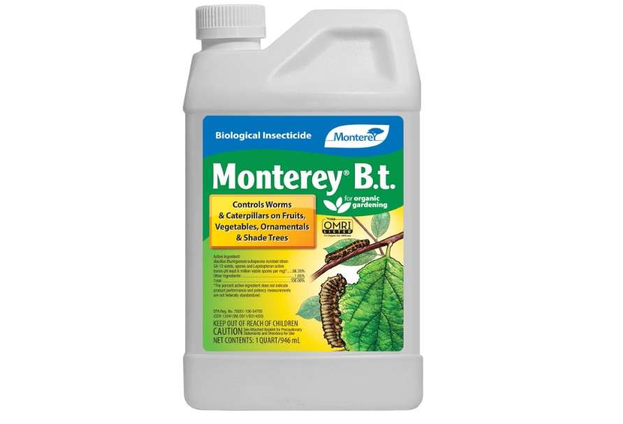 
Monterey B.t. - Biological Insecticide for Organic Gardening - 1 Quart Concentrate - Apply Using a Sprayer Following Mix Instructions