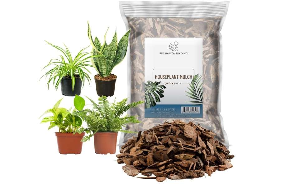 
Houseplant Mulch (2 Quarts), Small Bark Wood Chips for Indoor, Patio, Potting Media, and Much More!