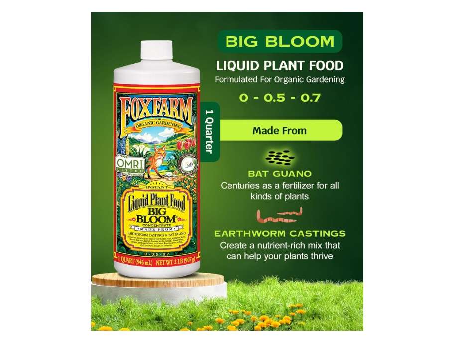 
FoxFarm - Big Bloom Plant Food, Liquid Fertilizer Concentrate for Flowers, Fruits, and Vegetables, All Purpose Plant Fertilizer for Indoor & Outdoor.