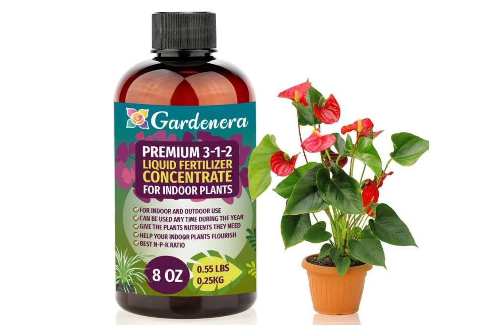 
GARDENERA Premium 3-1-2 All Purpose Liquid Fertilizer Consentrate for All Indoor Plants & Flowers - Promotes Biomass Growth and Vibrant Leaf Color 
