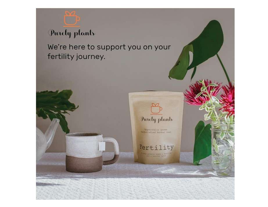  Fertility Tea by Purely Plants | Herbal Fertility Supplements for Women | Fertility Blend Organic Herbal Tea | 1.4 oz. Package - 16 Pyramid Tea Bags