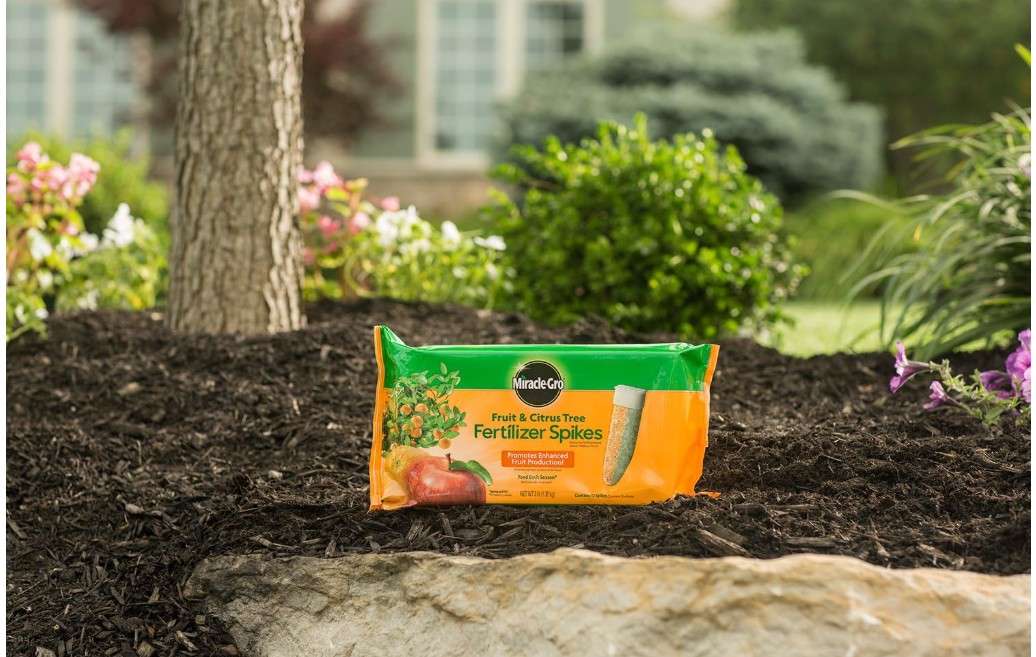  Miracle-Gro Fertilizer Spikes for Fruit and Citrus Trees, 12-Pack (Not Sold in Pinellas County, FL) 