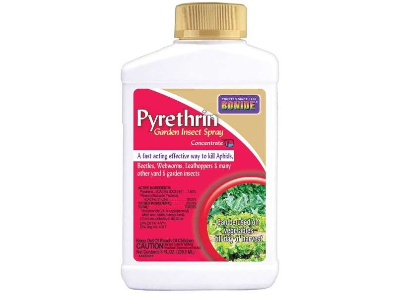  Bonide Pyrethrin Garden Insect Spray Concentrate, 8 oz Ready-to-Mix Fast Acting Insecticide for Outdoor Garden Use