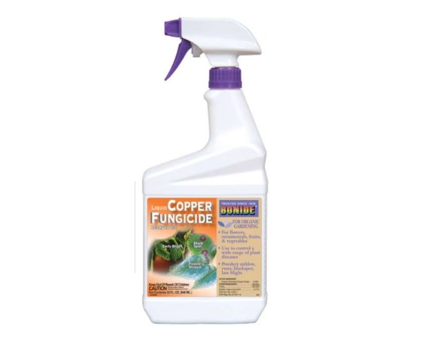 Bonide Copper Fungicide Rtu Qt Model 775 Pack of 12, 32 Oz