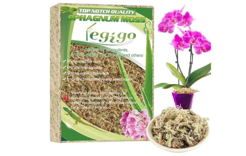 
Legigo 3.5oz Premium Sphagnum Moss Potting Mix- 4 QT Natural Succulent Carnivorous Plants Moss Dried, Plant Growing Medium for Orchid Succulent Sarracenia