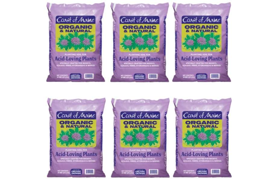 
Coast of Maine, 20qt (Pack of 6) Organic and Natural Planting Soil for Acid-Loving Plants - Rhodys, Azaleas, Ferns, Hydrangeas & Berries