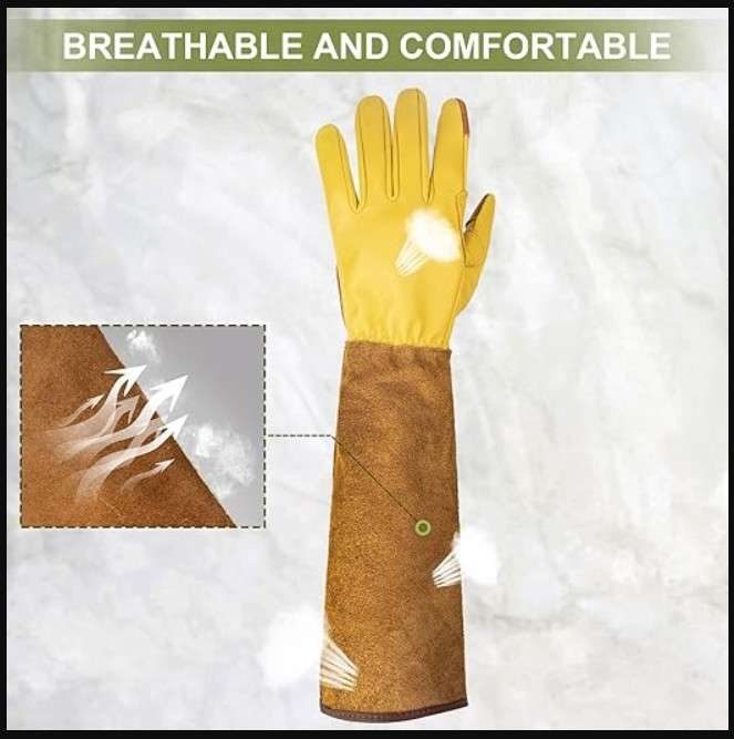 
Visit the WOHEER Store
Long Gardening Gloves for Women Thorn Proof,Rose Pruning Cowhide Leather Garden Gloves for Cactus, Rose and Blackberry