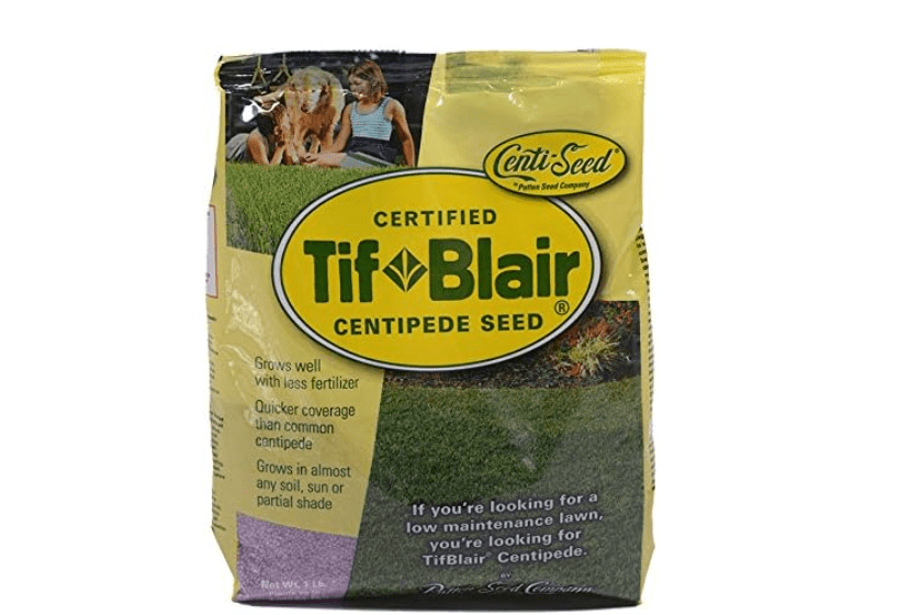 
TifBlair Centipede Grass Seed (1 Lb.) Direct from T