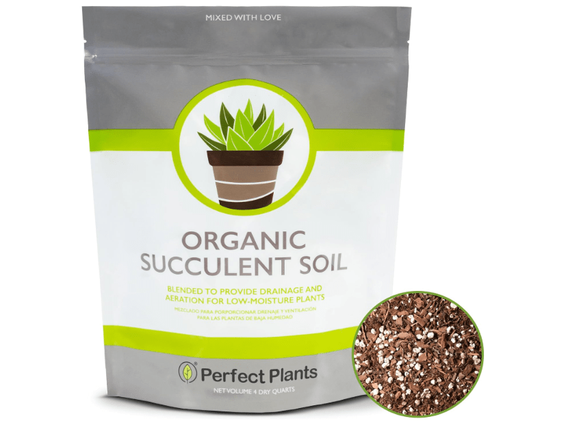 
All Natural Succulent and Cactus Soil Mix by Perfect Plants | Made in The USA | 4 Quarts for All Succulent Varieties | Formulated for Proper Drainage