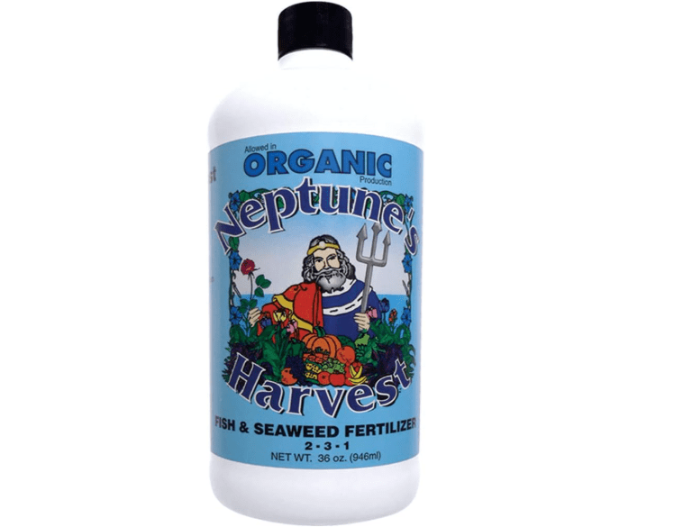 
Neptune's Harvest Fish & Seaweed Fertilizer 2-3-1 (36 Ounce)