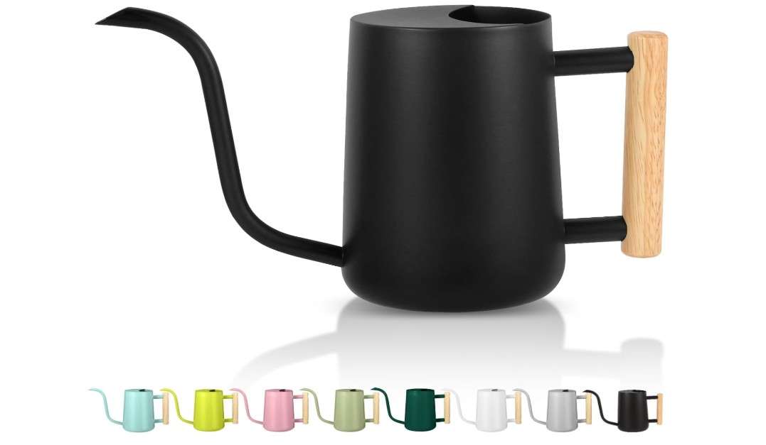 
GUKJOB Plant Watering Can,35oz Metal Watering Can,Stainless Steel Indoor Plants with Long Curved Spout,Small Bonsai Outdoor Garden Modern Decorative(Black)