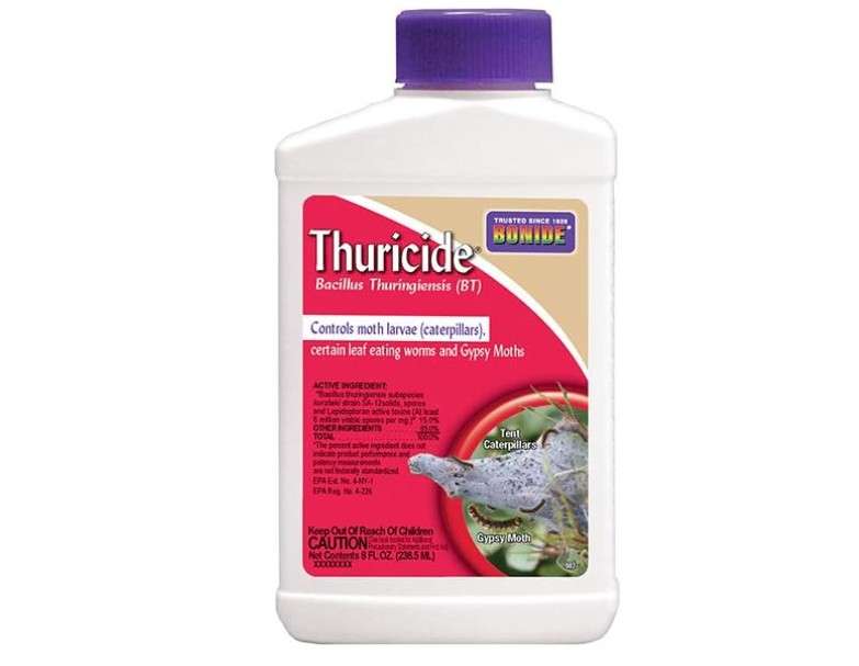 Bonide Thuricide BT Concentrate, 8 oz Ready-to-Mix Solution for Caterpillar, Moth and Worm Control in Lawn and Garden
