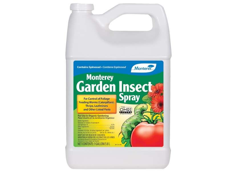 
Monterey - Garden Spinosad Insecticide Spray - Organic Gardening Spinosad Concentrate, Control Foliage Feeding Worms - Apply with Sprayer - 1 Gallon