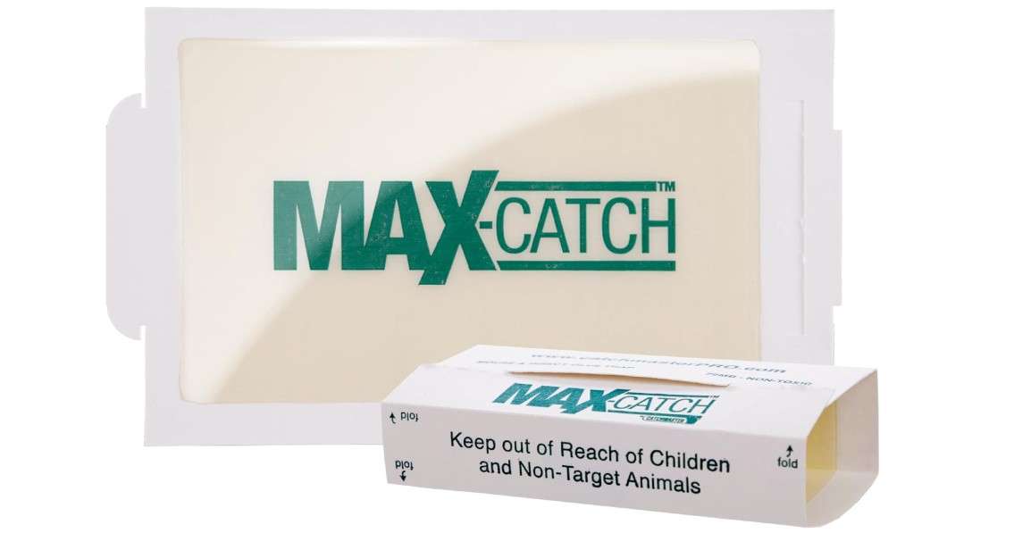 
Catchmaster Max-Catch Mouse & Insect Glue Trap 72PK, Mouse Traps Indoor for Home, Sticky Pest Control Adhesive Tray for Catching Bugs, Non Toxic Bulk