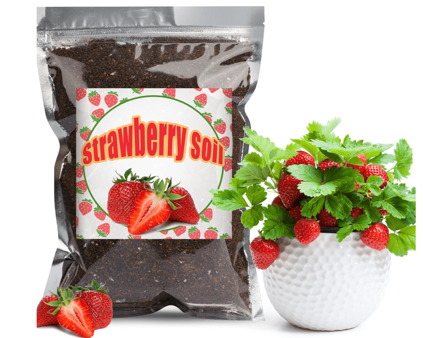 
Doter Organic Strawberry Soil Mix 2qt, Indoor Plants Potting Mix for All Potted Strawberry, Grow Healthy houseplants Indoors