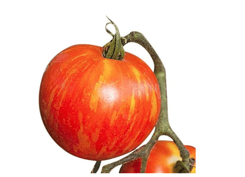 
Mr. Stripey Heirloom Tomato Seeds - Large Tomato - One of The Most Delicious Tomatoes for Home Growi