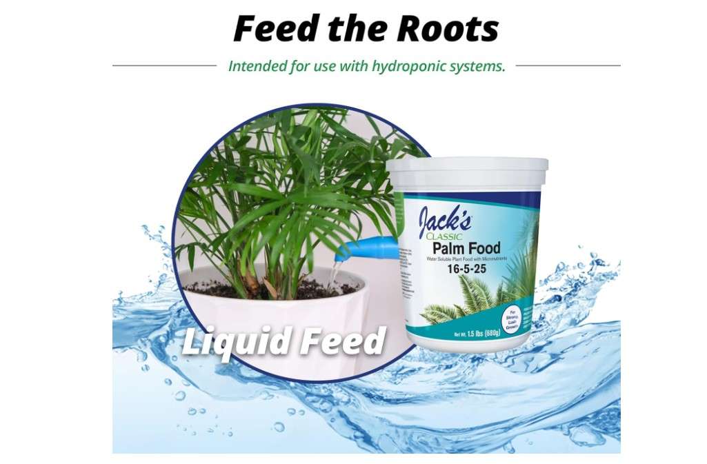 
Jack's Classic 16-5-25 Palm Food Water-Soluble Fertilizer with Micronutrients for Strong Lush Growth, 1.5lbs