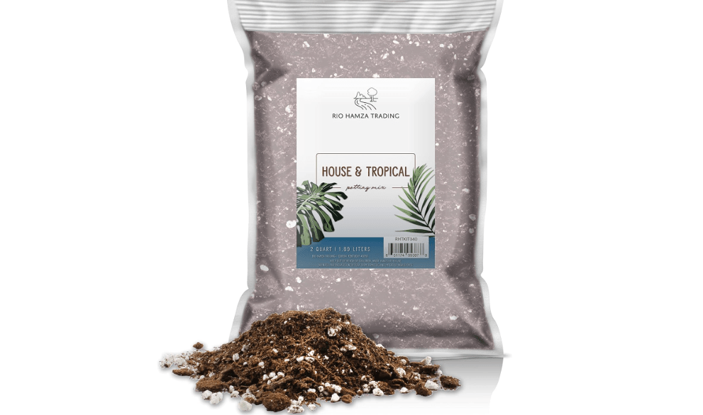 Rio Hamza Tropical House Plant Potting Mix
