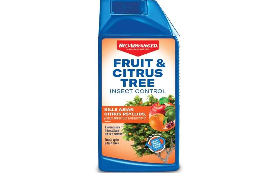 BioAdvanced Fruit & Citrus Tree, Concentrate, 32 oz