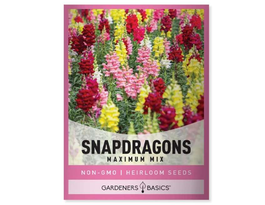 
Gardeners Basics, Snapdragon Seeds for Planting (Maximum Mix Snap Dragon) Annual Flower Heirloom, Non-GMO Variety- 400mg Seeds Great for Summer Seeds
