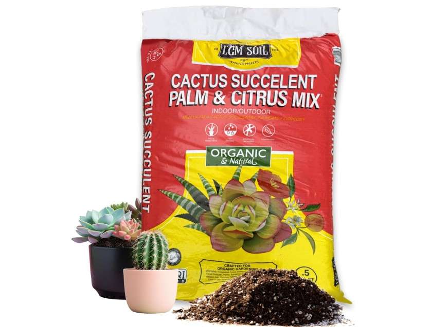 
LGM Cactus & Succulent Palm & Citrus Mix, Ideal Potting Soil for Indoor & Outdoor Plants, (.5 Cu Ft.)
