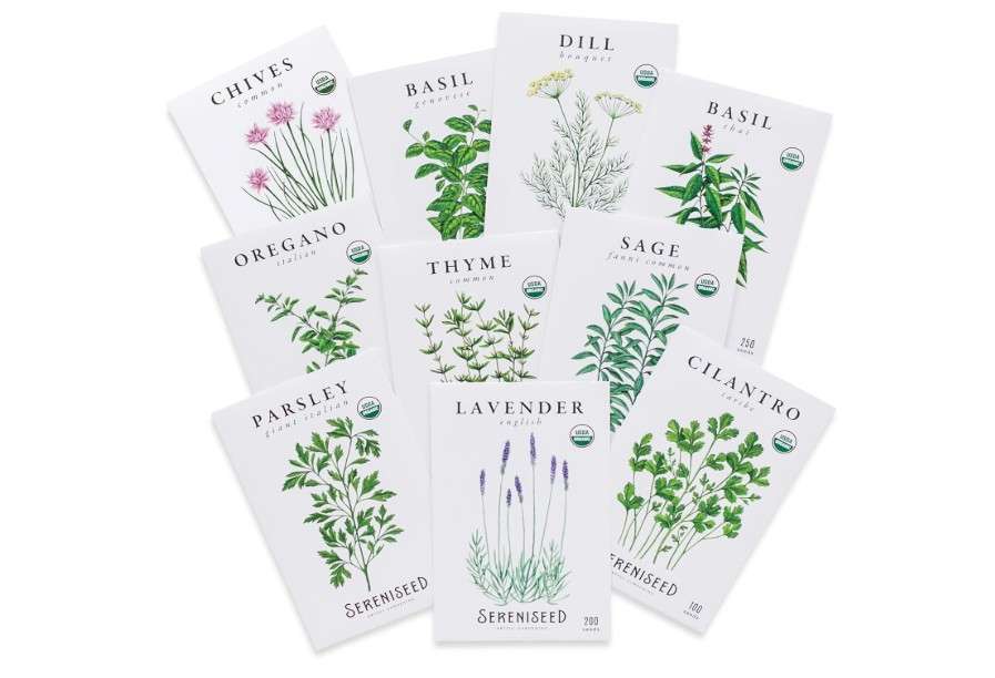 
Sereniseed Certified Organic Herb Seeds (10-Pack) – Non GMO, Heirloom – Seed Starting Video - Basil, Cilantro, Oregano, Thyme, Parsley, Lavender, Chives