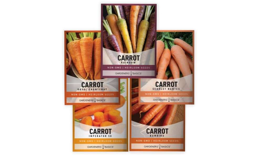 
Gardeners Basics, Carrot Seeds for Planting Home Garden - 5 Variety Pack Rainbow, Imperator 58, Scarlet Nantes, Bambino and Royal Chantenay Great for Spring