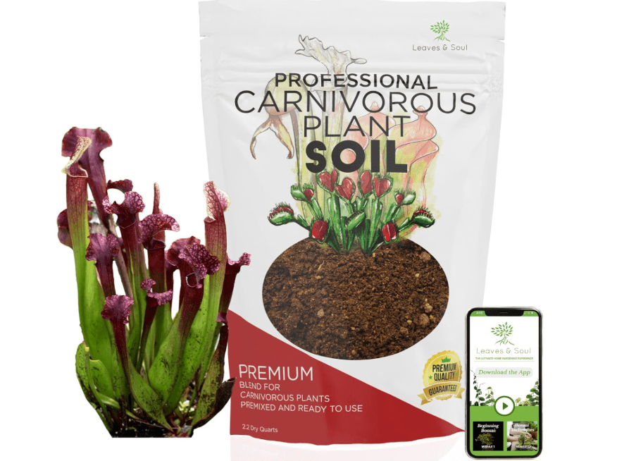 Professional Carnivorous Plant Soil | Large 2.2 Quarts Ready to Use for Venus Flytraps, Sundews, Pitcher Plants, Butterworts | Peat Moss, Coco Coir