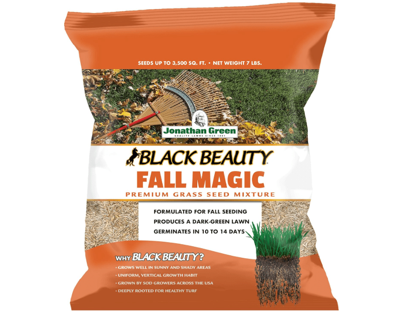 Jonathan Green (10768) Black Beauty Fall Magic Grass Seed - Cool Season Lawn