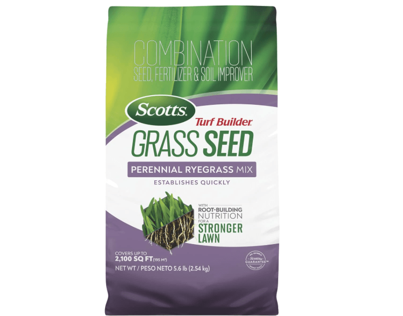
Scotts Turf Builder Grass Seed Perennial Ryegrass Mix with Fertilizer and Soil Improver, Establishes Quickly