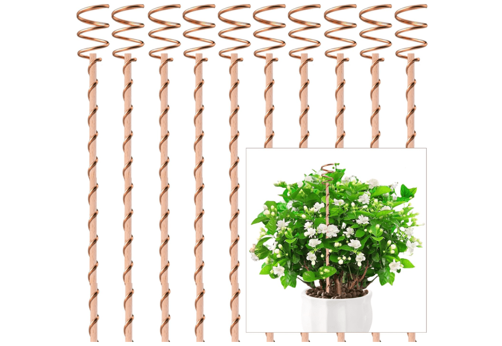 Electroculture Plant Stakes, Electroculture Copper Gardening Antenna, Copper Garden Stakes for Plants Fruits Vegetables Growth,Eco-Friendly,High-Yield (10Pack/11.5 Inch) 