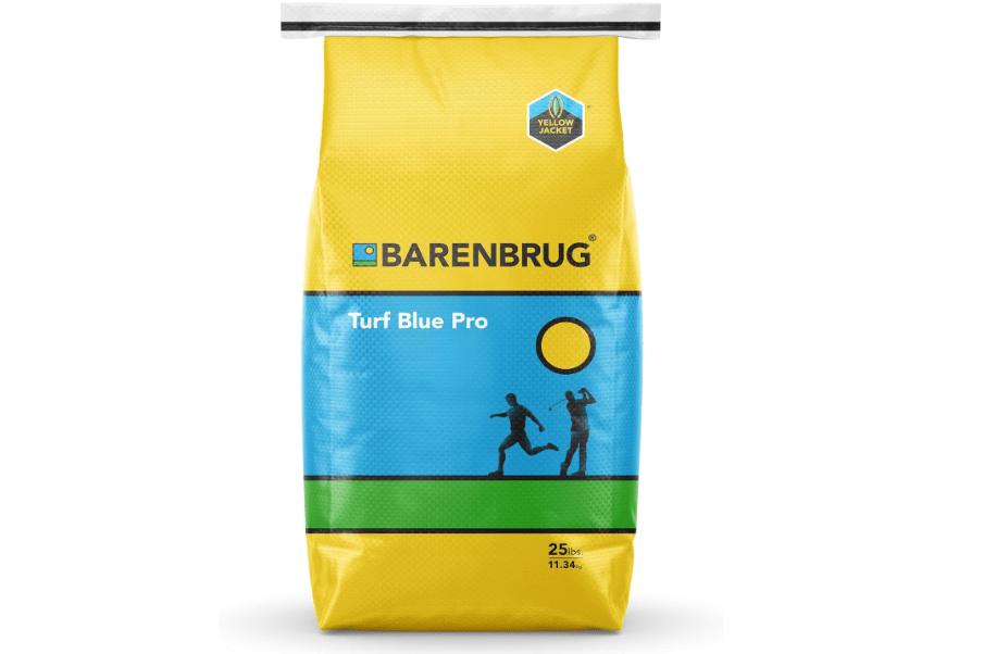 Barenbrug Turf Blue Pro Kentucky Bluegrass Lawn Seed with Yellow Jacket Seed Coating, All-Season Durable Grass Mix for Lawns, 25-lb. Bag 