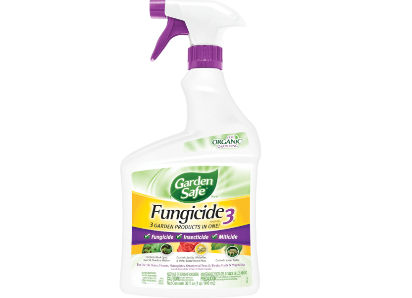 Garden Safe Brand Fungicide3
