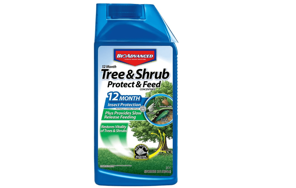 BioAdvanced 12 Month Tree and Shrub Protect and Feed
