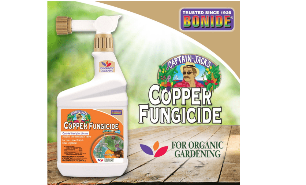 Bonide Captain Jack's Copper Fungicide