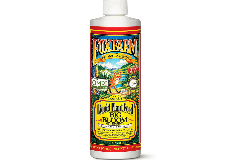 FoxFarm - Big Bloom Plant Food, Liquid Fertilizer Concentrate for Flowers, Fruits, and Vegetables
