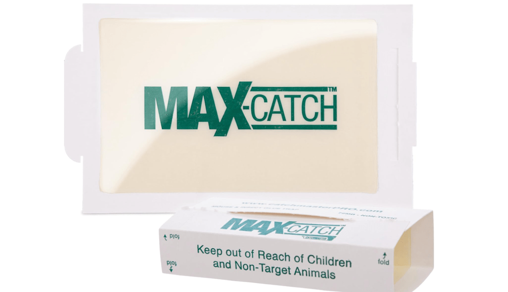 Catchmaster Max-Catch Mouse & Insect Glue Trap 36PK, Mouse Traps Indoor for Home, Sticky Pest Control Adhesive Tray for Catching Bugs, Non Toxic Bulk Unscented Glue Boards 