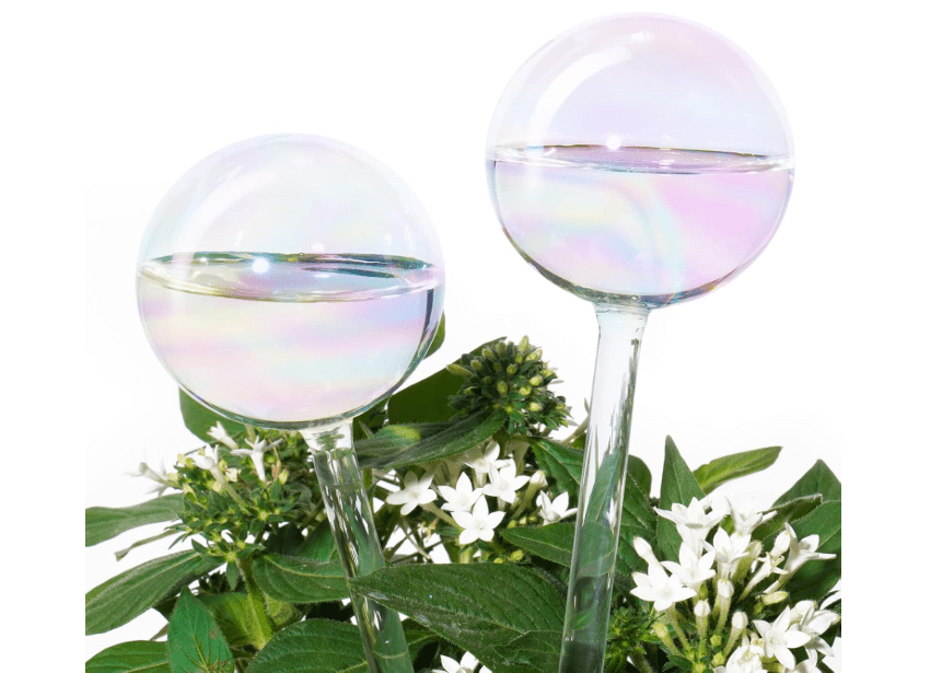 [2 PCS] Light Iridescent Rainbow Gradient Color Clear Glass Self-Watering System Spikes, Automatic Plant Waterer Bulbs 