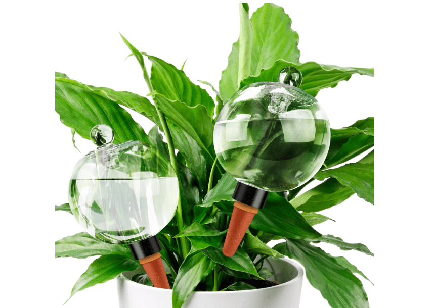 19 oz Extra Large Plant Self Watering Globes Top Fill, Plastic Water Bulbs, Slow Release Terracotta Self Watering Planter Insert, Plant Watering Devices System, Water Spikes Stakes, 2 Pack 