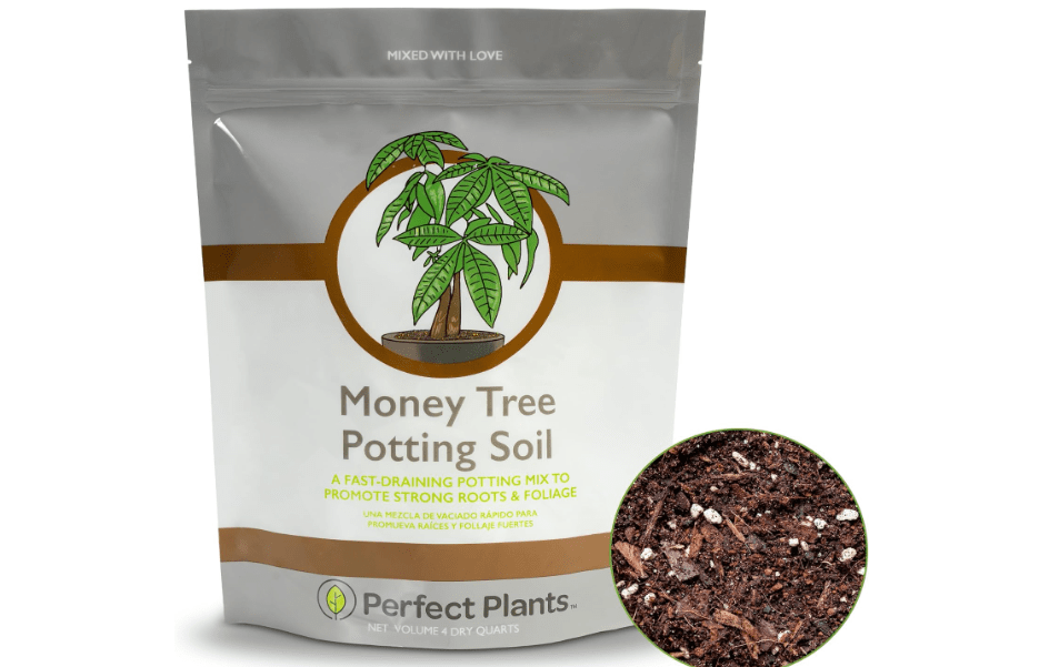 Perfect Plants Money Tree Potting Soil 4qt | Organic Coco Coir Based Plant Mix for Indoor Trees | Quickly Grow Your Indoor Forest