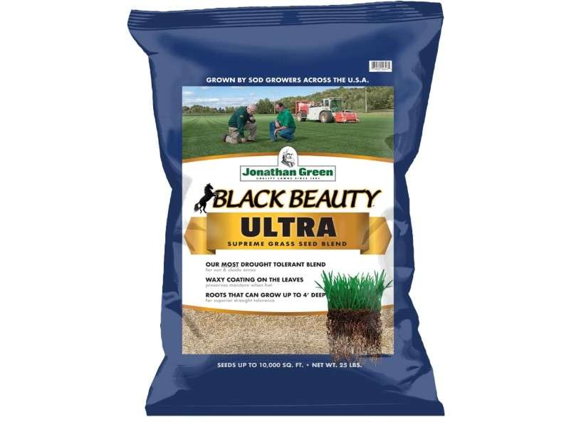  Jonathan Green (10323) Black Beauty Ultra Grass Seed - Cool Season Lawn Seed (25 lb)