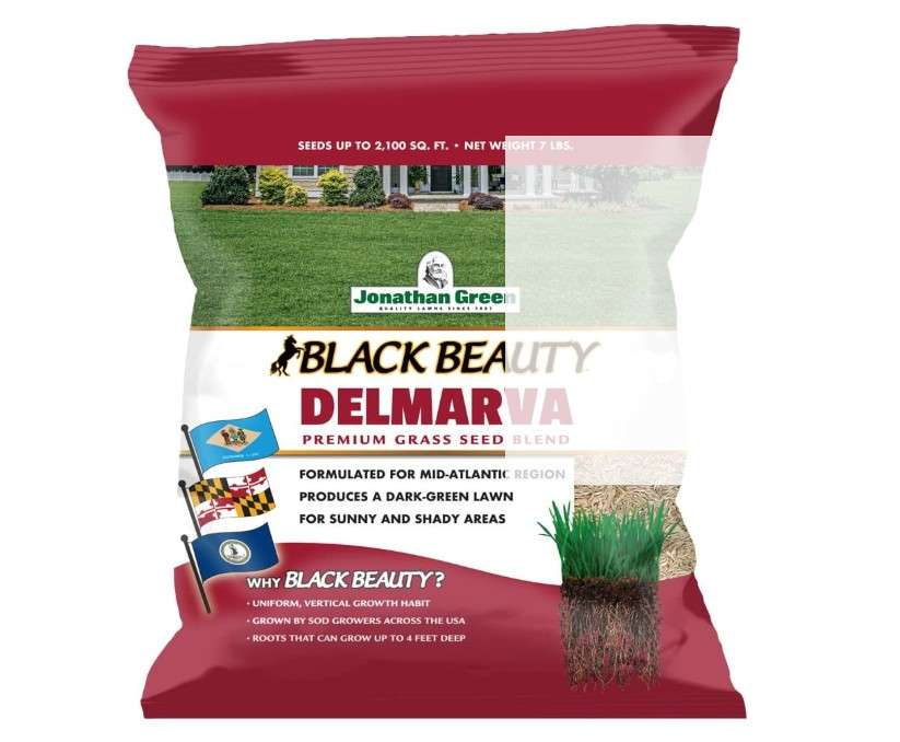  Jonathan Green (10391) Black Beauty Delmarva Grass Seed (Made for Maryland, Delaware, Virginia) - Cool Season Lawn Seed