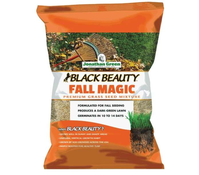 Jonathan Green (10770) Black Beauty Fall Magic Grass Seed - Cool Season Lawn Seed (25 lb)
