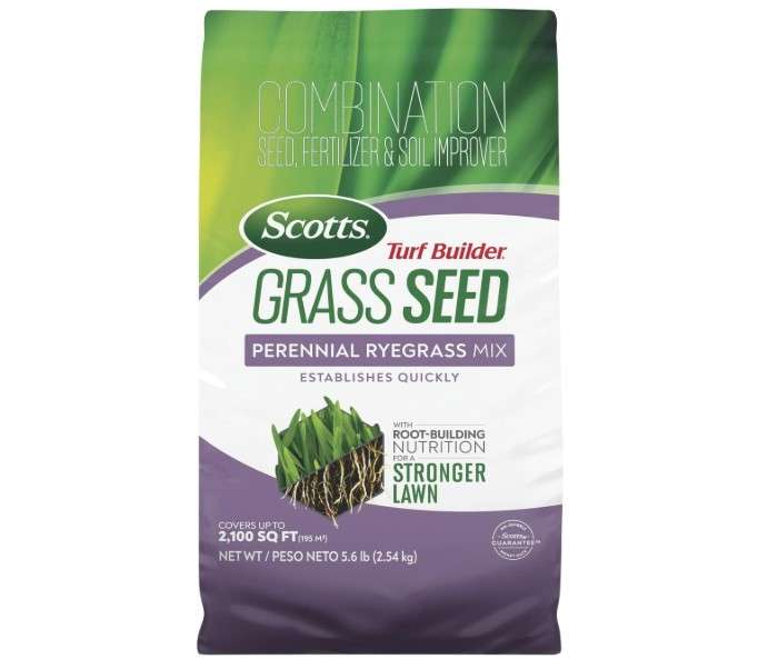  Scotts Turf Builder Grass Seed Perennial Ryegrass Mix with Fertilizer and Soil Improver, Establishes Quickly, 5.6 lbs.