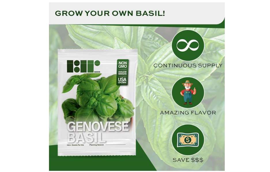 

Genovese Basil Seeds for Planting - Heirloom Non-GMO USA Grown - 150+ Seeds - Premium Sweet Basil Seeds for Indoors or Outdoors by RDR Seeds