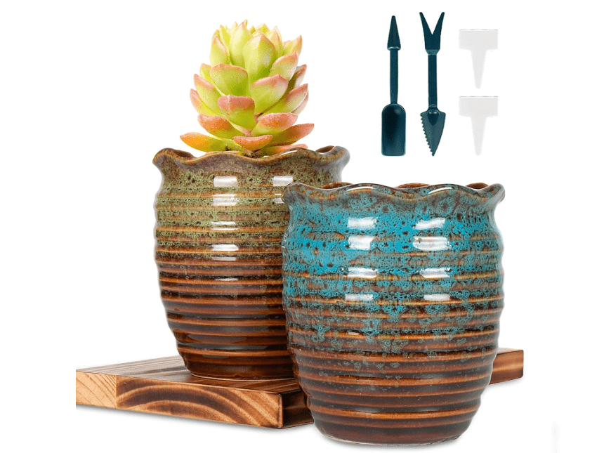  Livabber 4.5 inch Succulent pots with Drained Ceramic Pot Plants, Suitable for Indoor or Outdoor (Pack of 2, Yellow and Blue