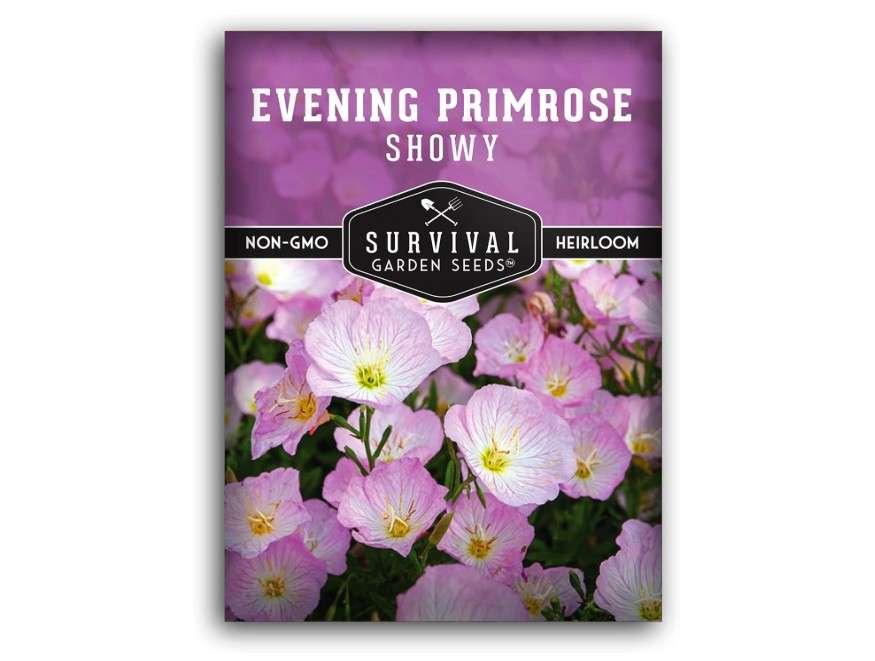  Showy Evening Primrose Seed for Planting - 1 Packet with Instructions to Plant and Grow Pinkladies in Your Home Flower Garden - Non-GMO Heirloom Variety