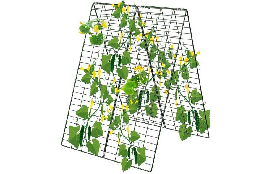  AGTEK 34" x 48" Foldable Cucumber Trellis with Garden Stakes and Zip Ties Plant Support A Frame Metal Trellis for Climbing Plants, Cucumber